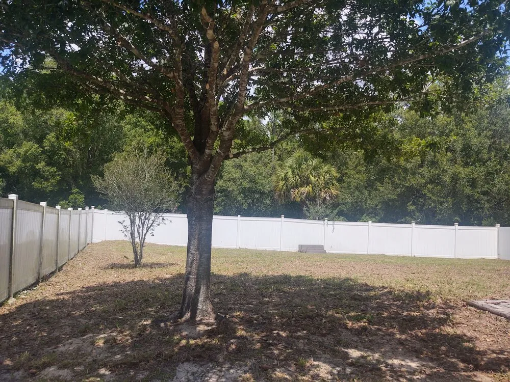 Trusted yard cleanup service near you across Inverness, FL - Landscaping by Dave Long