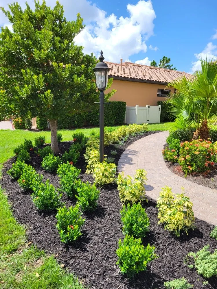 Expert landscaping services experts serving Sarasota, FL - Landscaping by Ed