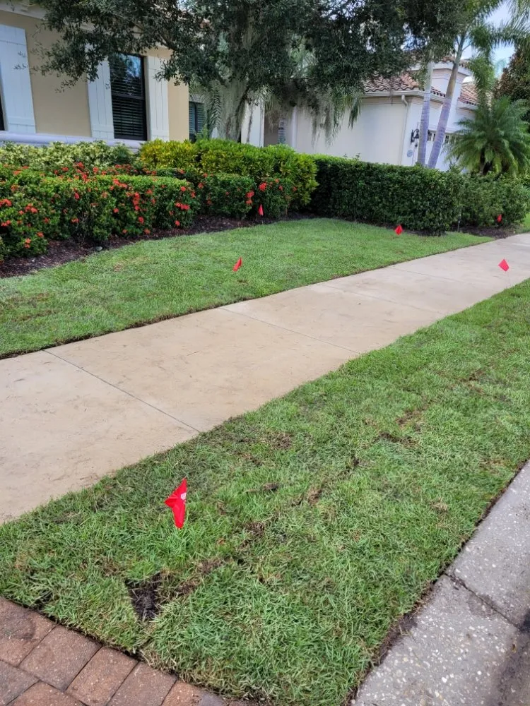 Trusted lawn mowing service in Sarasota, FL - Landscaping by Ed