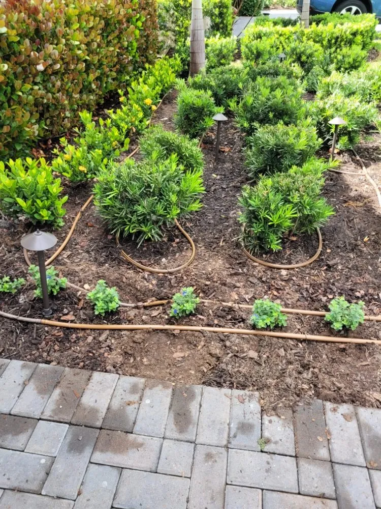 Custom garden landscaping experts serving Sarasota, FL - Landscaping by Ed