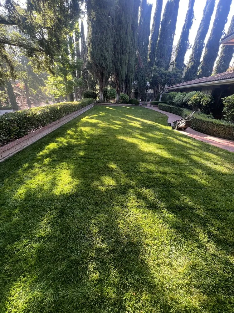 Top-rated landscape installation in Verdemont, CA - Landscaping By Garcia