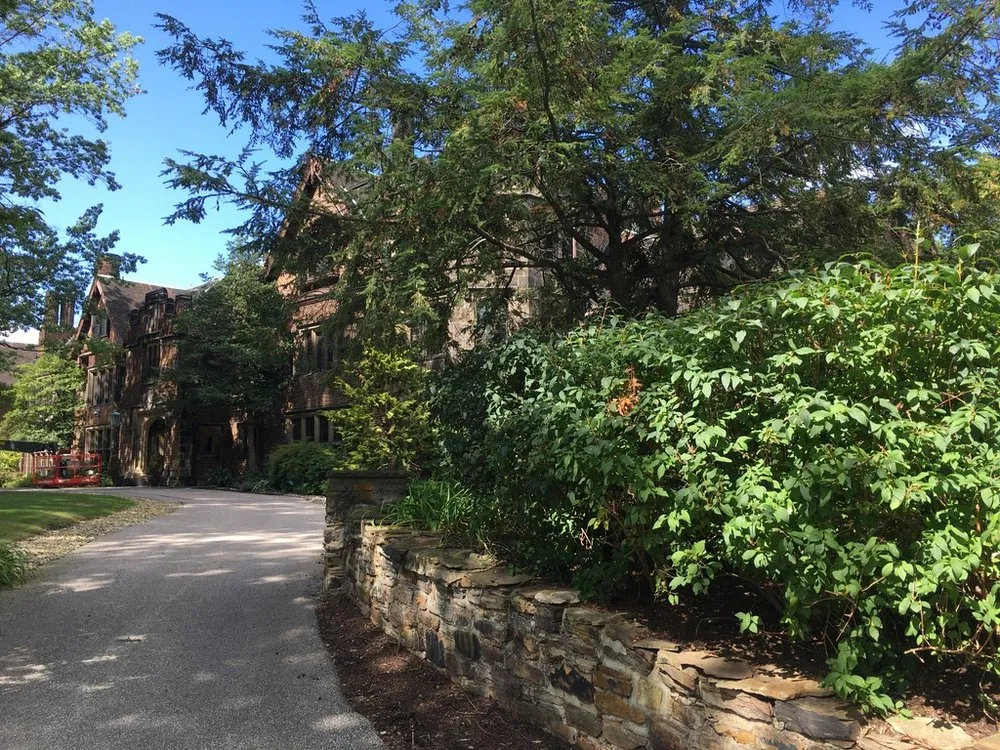 Expert lawn mowing service near you across Parma Heights, OH - Landscaping By Greeney