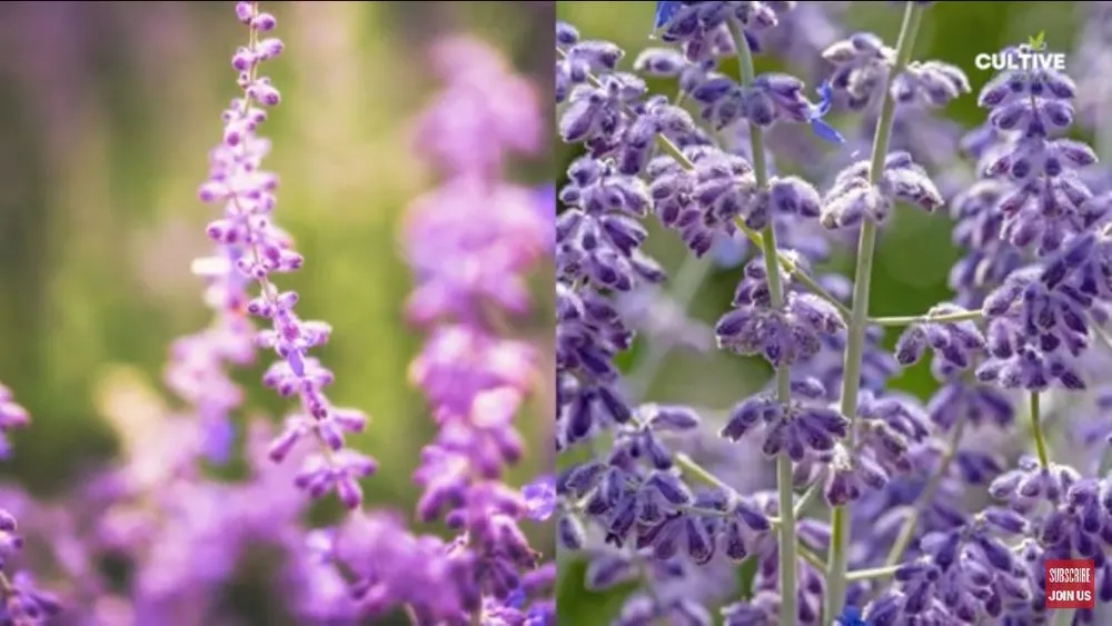 Custom garden landscaping experts serving Parma Heights, OH - Landscaping By Greeney