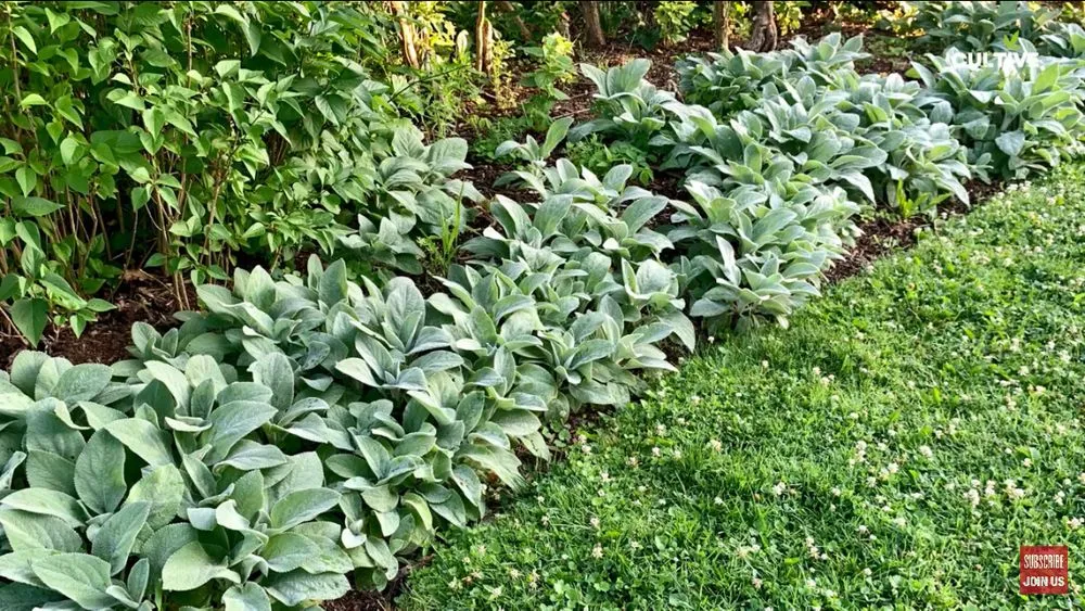 Local outdoor landscaping near you across Parma Heights, OH - Landscaping By Greeney