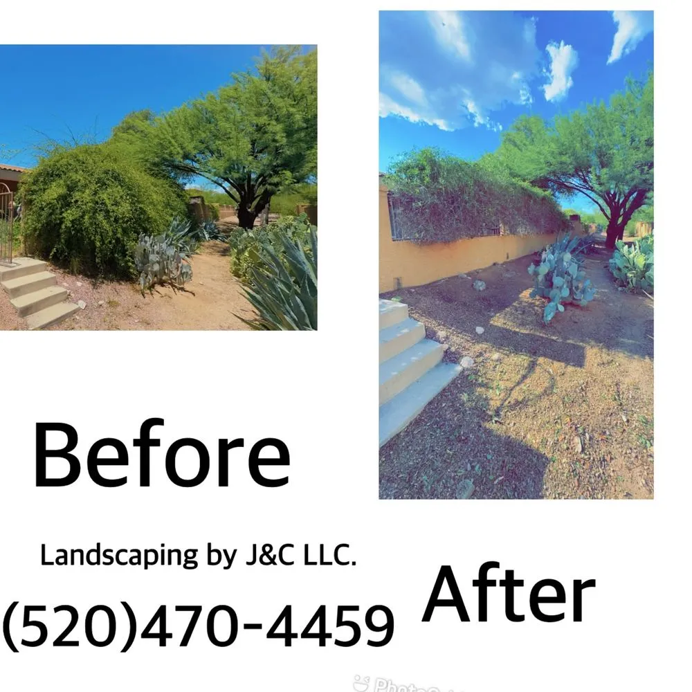 Top-rated garden landscaping for beautiful yards across Tucson, AZ - Landscaping By J & C