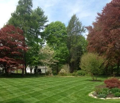 Reliable lawn care service in Marshfield, MA - Landscaping by J Michael