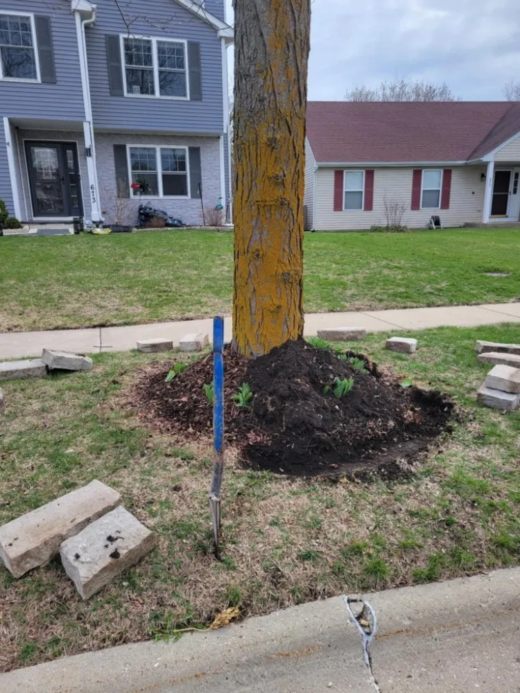 Local landscape design in Elgin, IL - Landscaping by Jose