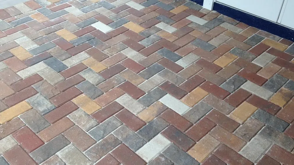 Top-rated yard maintenance in Orlando, FL by Landscaping By Karl