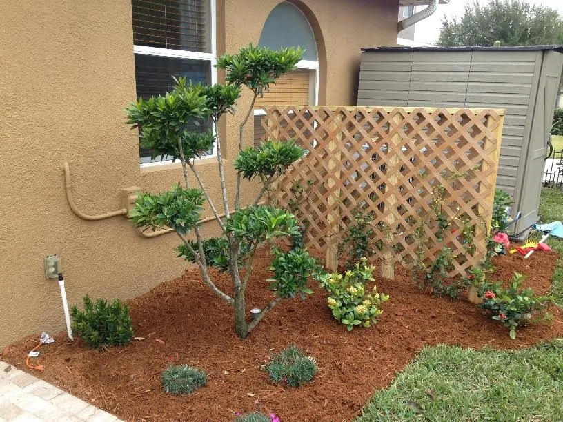 Affordable residential landscaping for outdoor upgrades in Orlando, FL by Landscaping By Karl