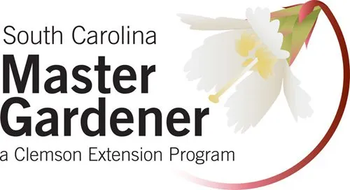 Trusted yard maintenance in Conway, SC - Landscaping by Marcy