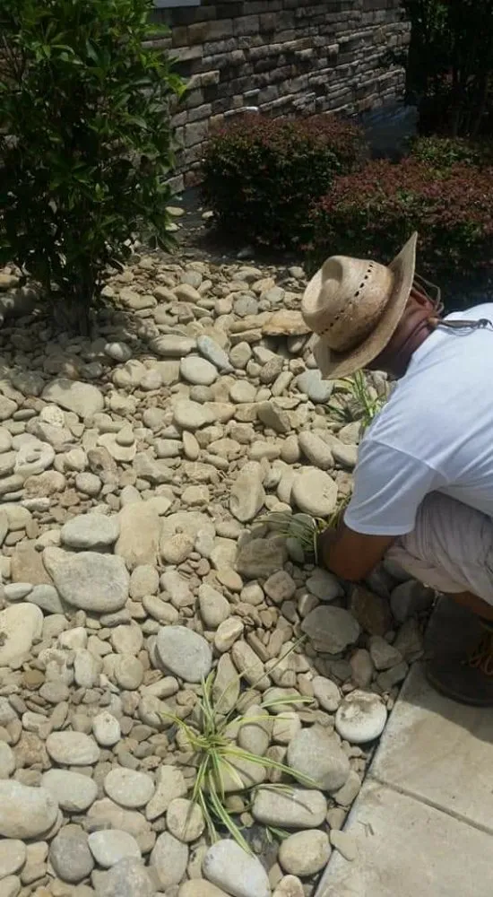 Affordable garden landscaping for year-round maintenance across Conway, SC - Landscaping by Marcy