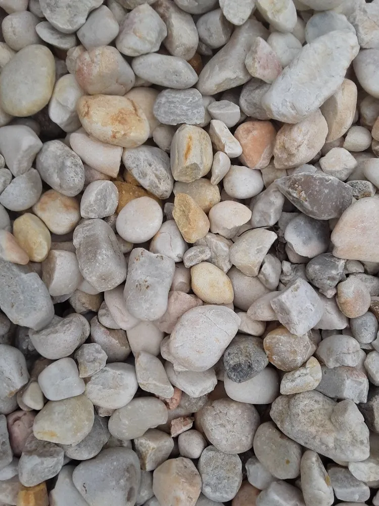 Professional lawn care service for residential properties in Conway, SC by Landscaping by Marcy