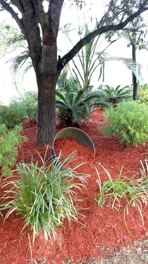 Top-rated residential landscaping in Conway, SC - Landscaping by Marcy