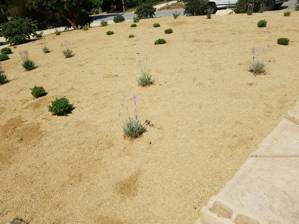 Expert residential landscaping for year-round maintenance across Moorpark, CA - Landscaping by Sam's