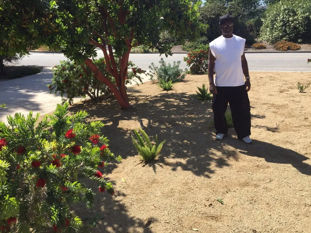 Custom lawn care service in Moorpark, CA by Landscaping by Sam's