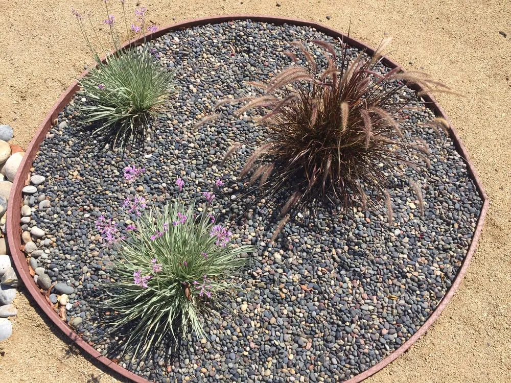 Expert landscape design near you in Moorpark, CA by Landscaping by Sam's