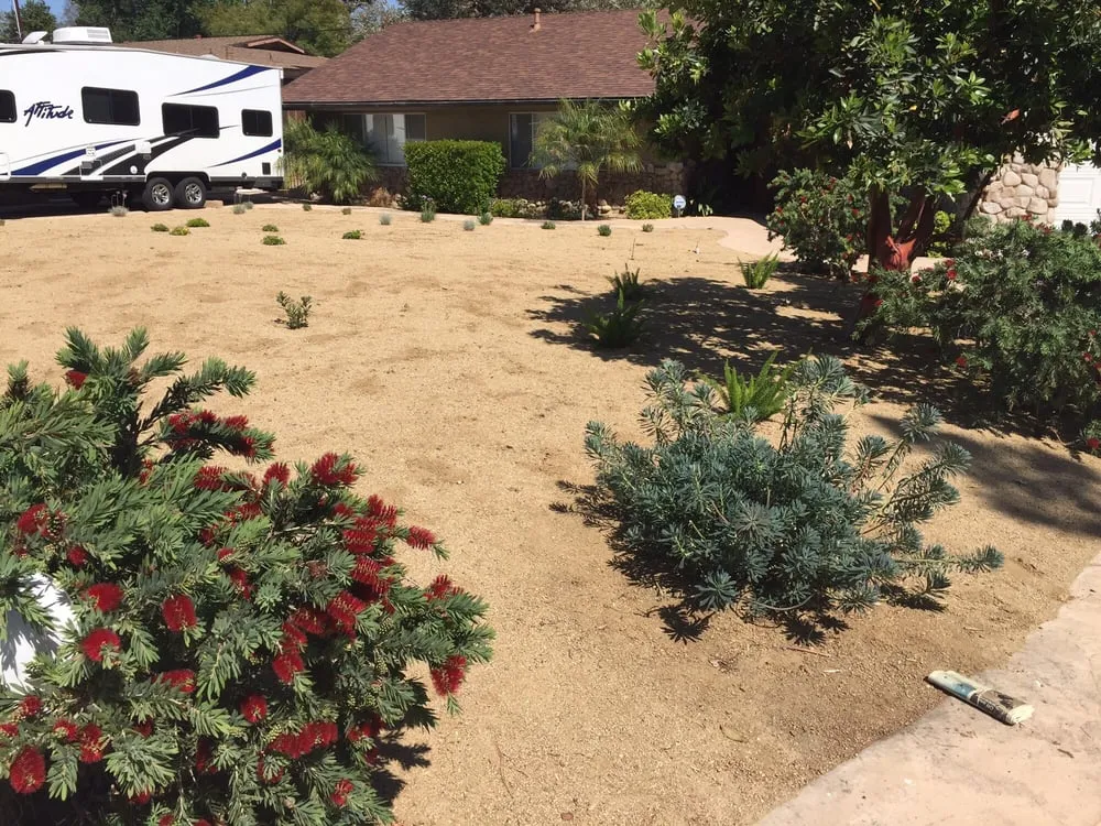 Professional lawn mowing service in Moorpark, CA - Landscaping by Sam's