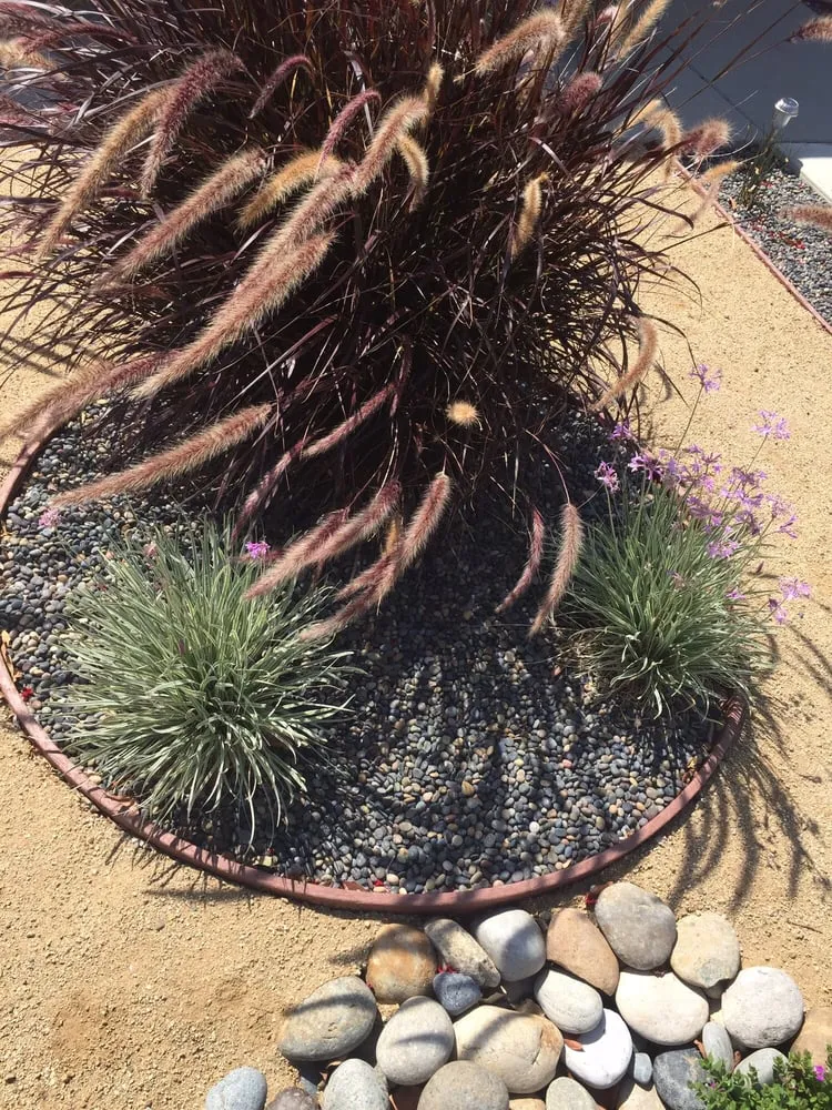 Top-rated landscaping services in Moorpark, CA by Landscaping by Sam's