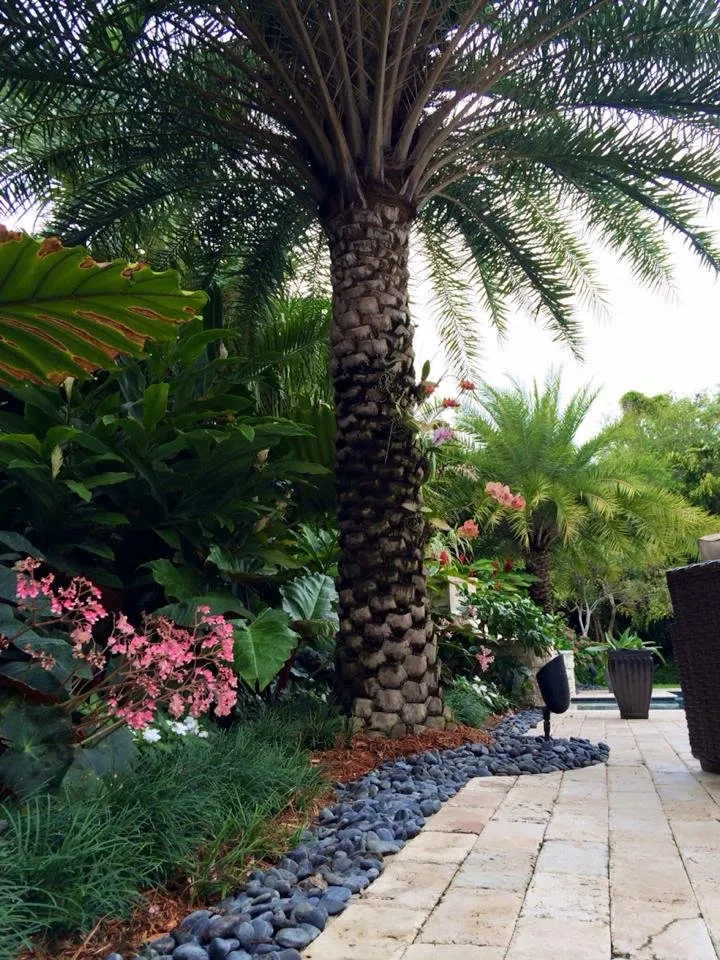 Top-rated residential landscaping in Coral Gables, FL by Landscaping by Steve Blaum