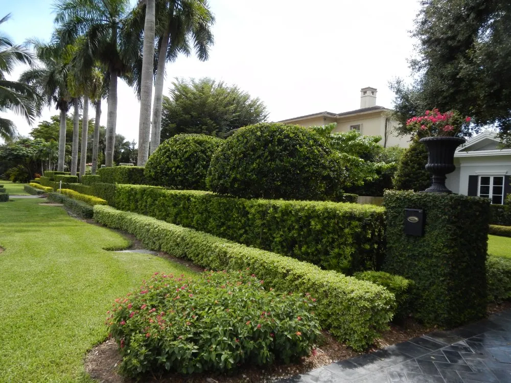Affordable garden landscaping in Coral Gables, FL - Landscaping by Steve Blaum