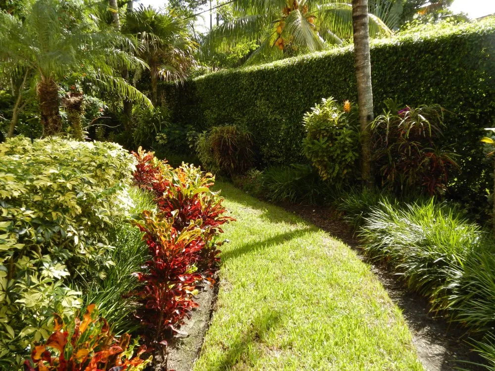 Affordable outdoor landscaping experts serving Coral Gables, FL - Landscaping by Steve Blaum