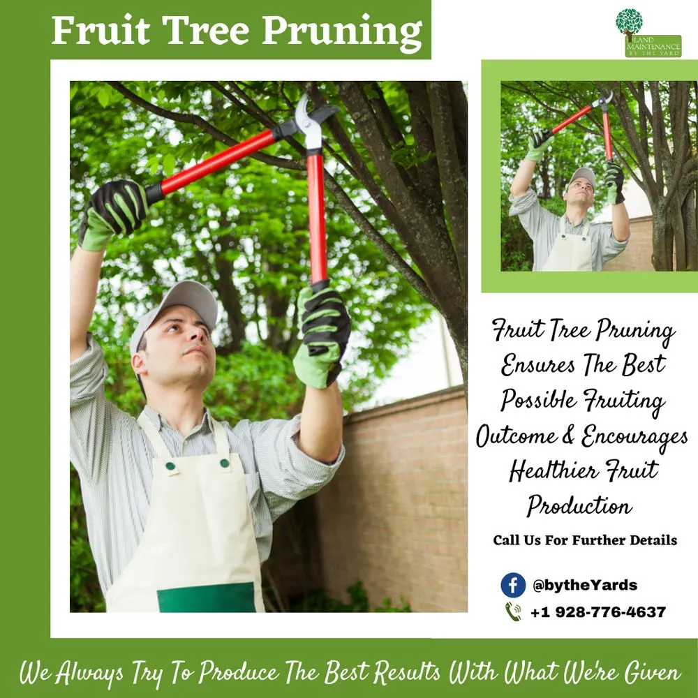 Trusted lawn care service in Prescott, AZ by Landscaping By The Yard