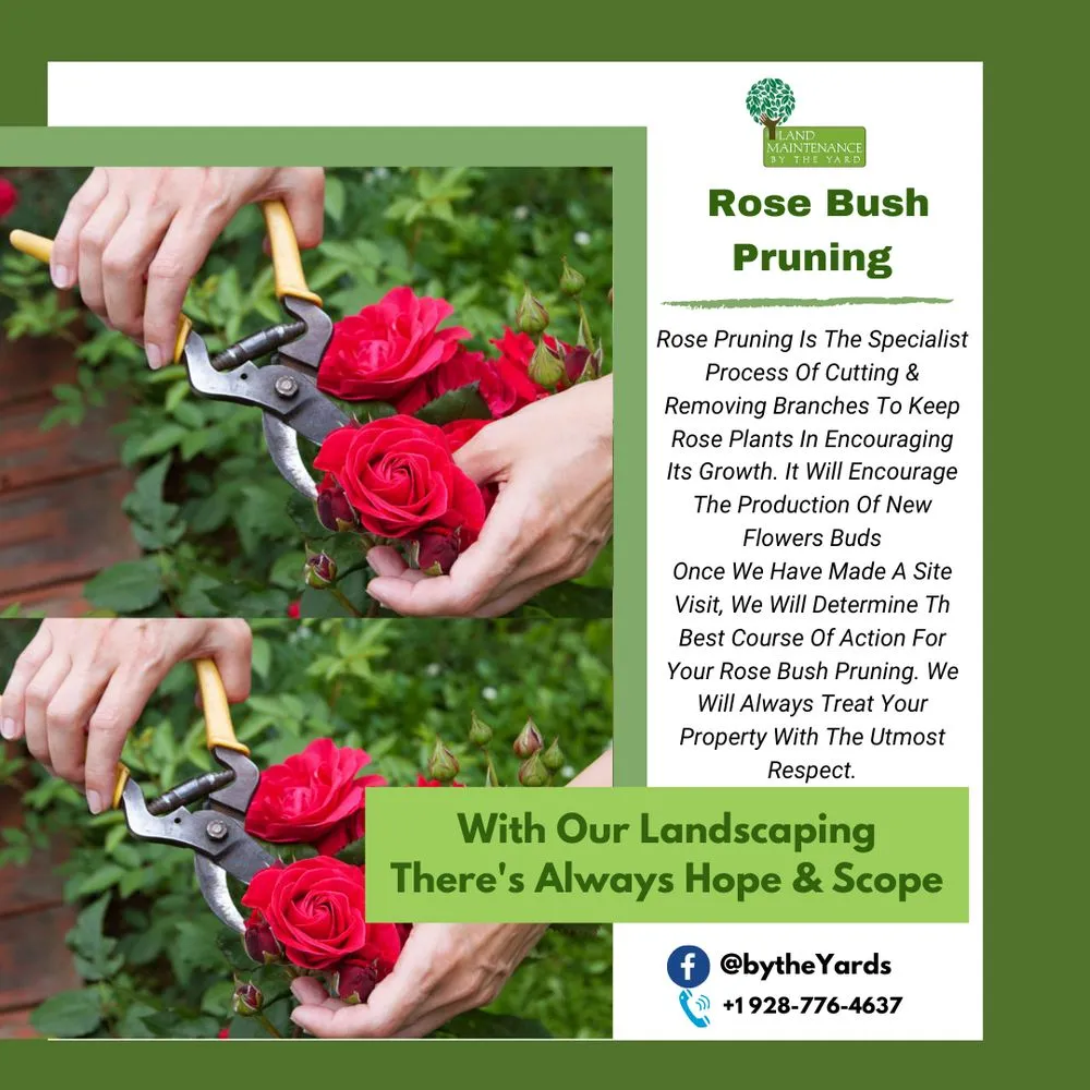 Custom landscape design in Prescott, AZ - Landscaping By The Yard