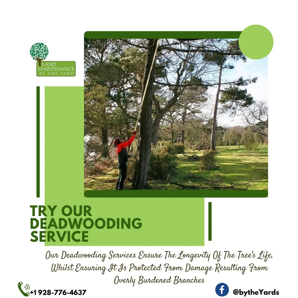 Local landscape design experts serving Prescott, AZ - Landscaping By The Yard