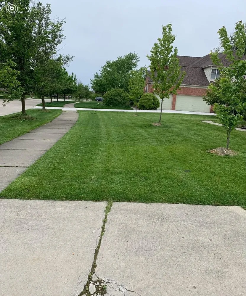 Trusted outdoor landscaping for outdoor upgrades across Dearborn Heights, MI - Landscaping By Tony