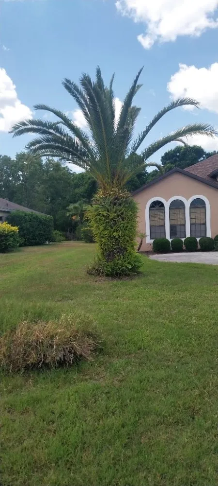 Professional landscape design in Brooksville, FL - Landscaping By Vincent