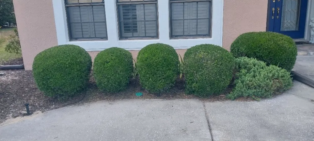 Professional landscape installation in Brooksville, FL - Landscaping By Vincent