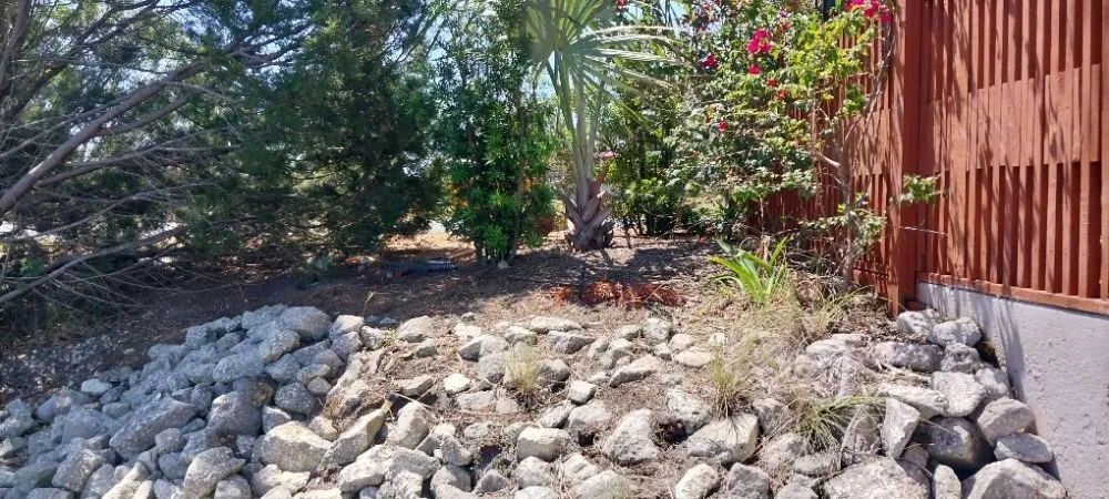 Affordable lawn care service in Brooksville, FL by Landscaping By Vincent