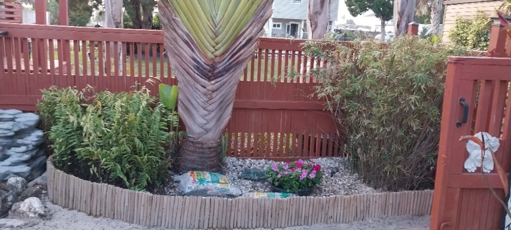 Expert yard cleanup service in Brooksville, FL - Landscaping By Vincent