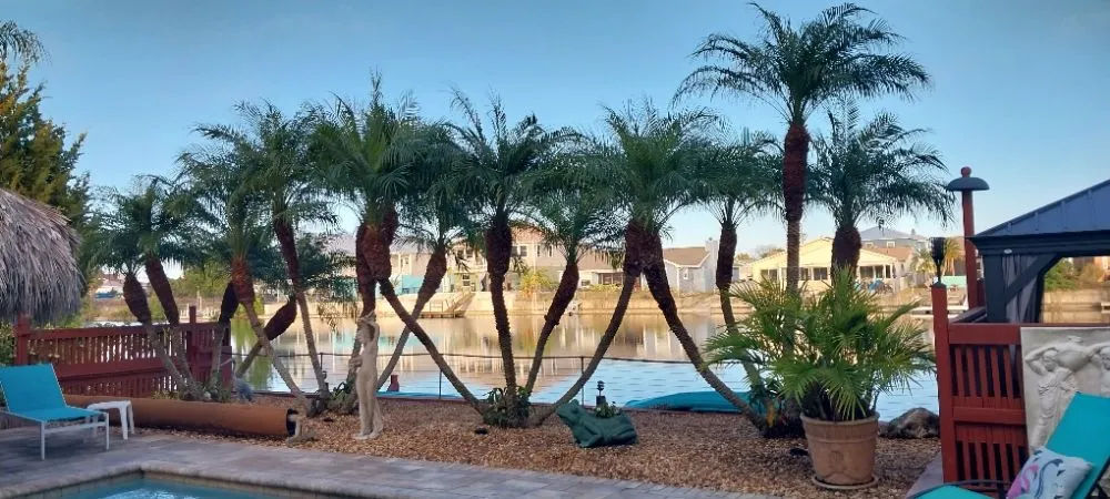 Local outdoor landscaping in Brooksville, FL - Landscaping By Vincent