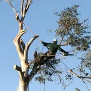 Local lawn care service in Annapolis, MD by Landscaping By Willy