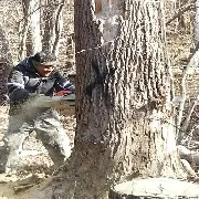 Reliable landscape design for beautiful yards across Annapolis, MD - Landscaping By Willy