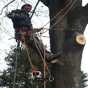 Custom garden landscaping experts serving Annapolis, MD - Landscaping By Willy