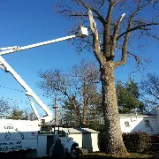 Affordable garden landscaping for beautiful yards in Annapolis, MD by Landscaping By Willy