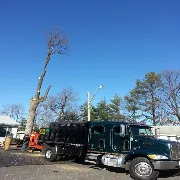 Top-rated landscape installation with custom design across Annapolis, MD - Landscaping By Willy