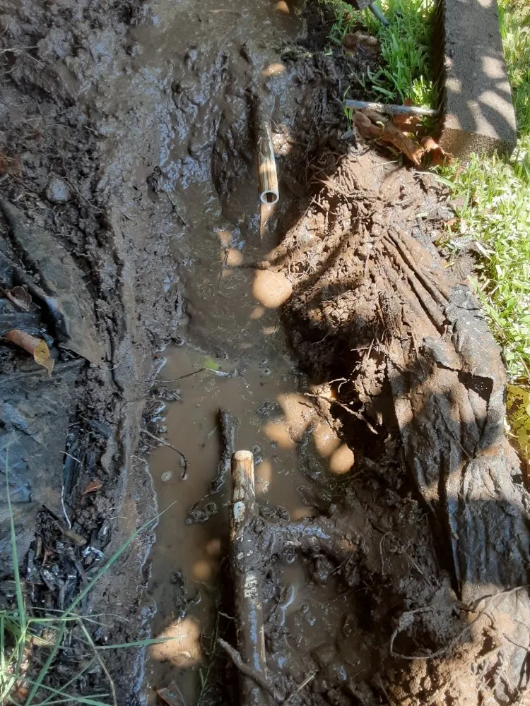 Reliable lawn care service in Riverbank, CA - LANDSCAPING CALZADA