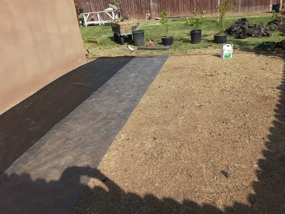 Top-rated yard cleanup service in Riverbank, CA by LANDSCAPING CALZADA