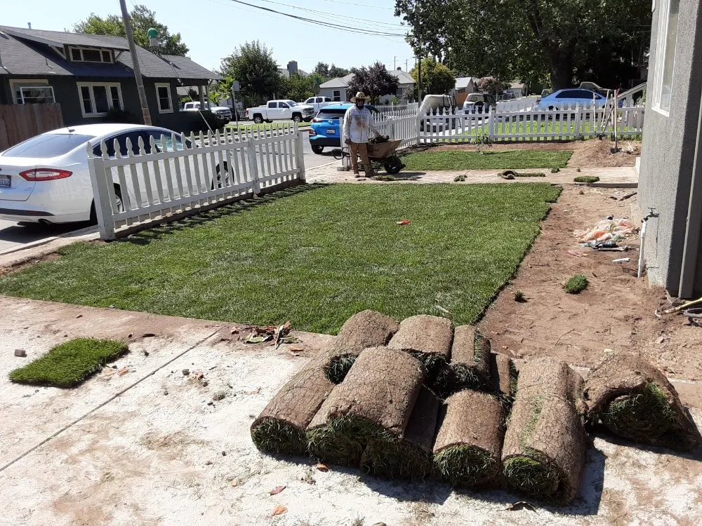 Custom yard maintenance in Riverbank, CA - LANDSCAPING CALZADA