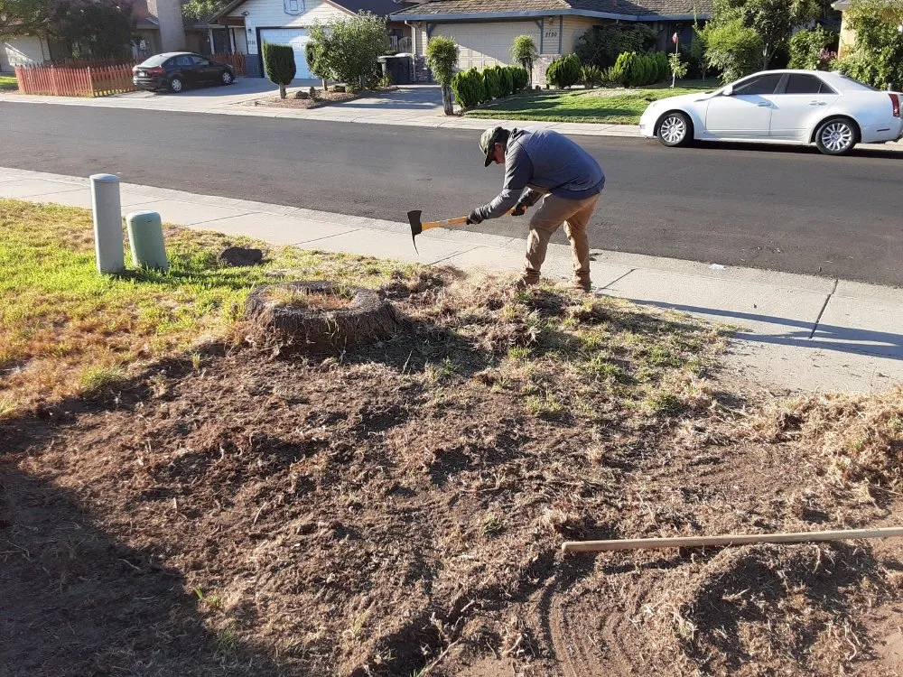 Affordable residential landscaping experts serving Riverbank, CA - LANDSCAPING CALZADA