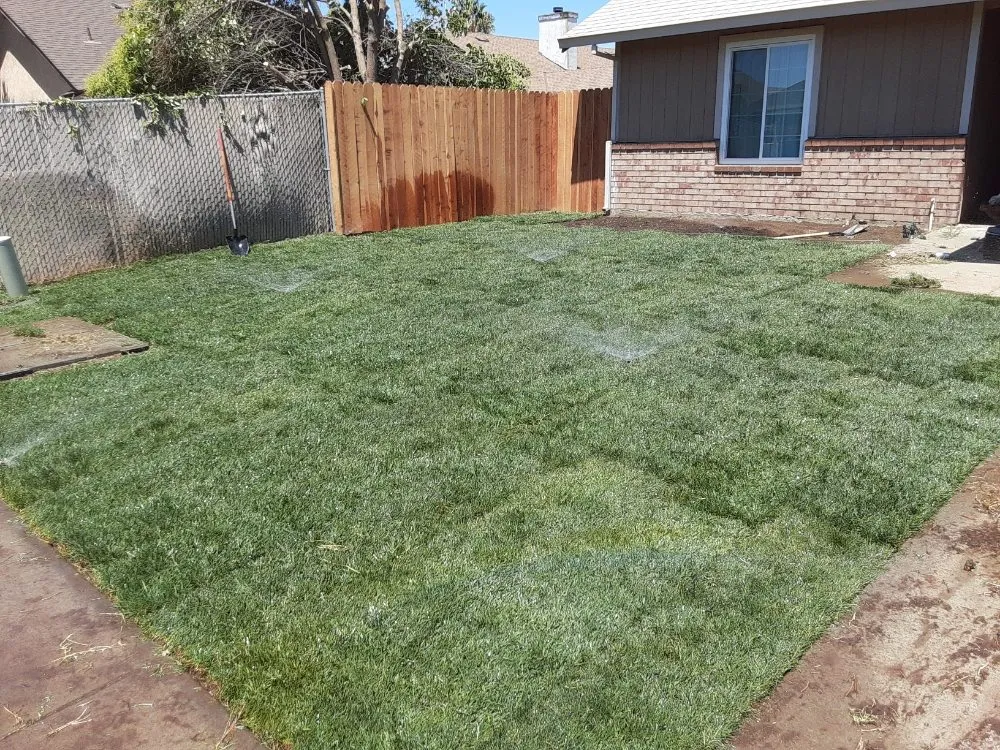Top-rated lawn mowing service experts serving Riverbank, CA - LANDSCAPING CALZADA