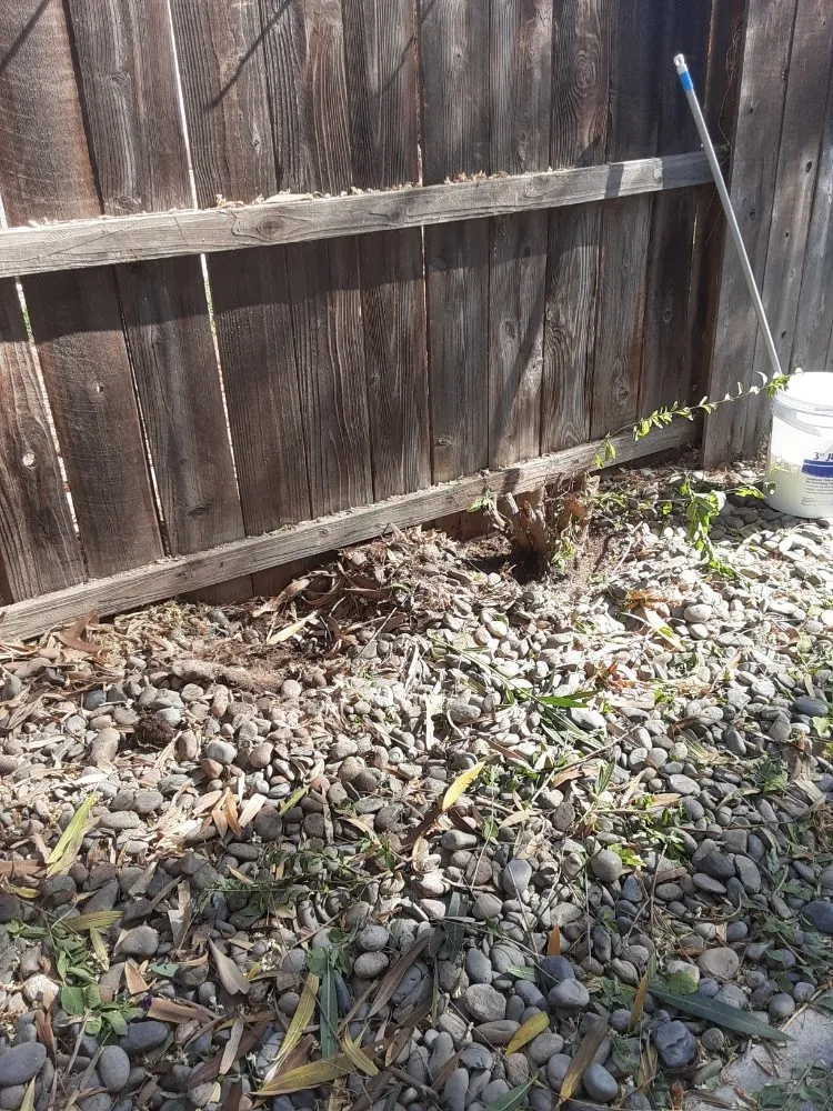 Local garden landscaping with custom design across Riverbank, CA - LANDSCAPING CALZADA