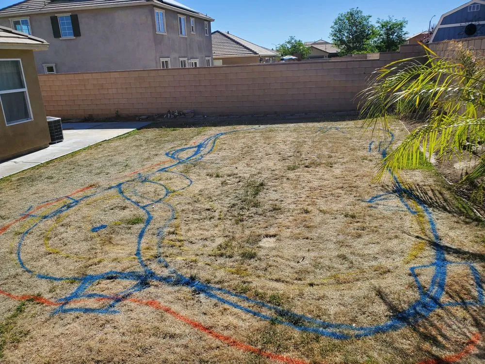 Trusted landscaping services for beautiful yards in Palmdale, CA by LANDSCAPING CARRIÓN