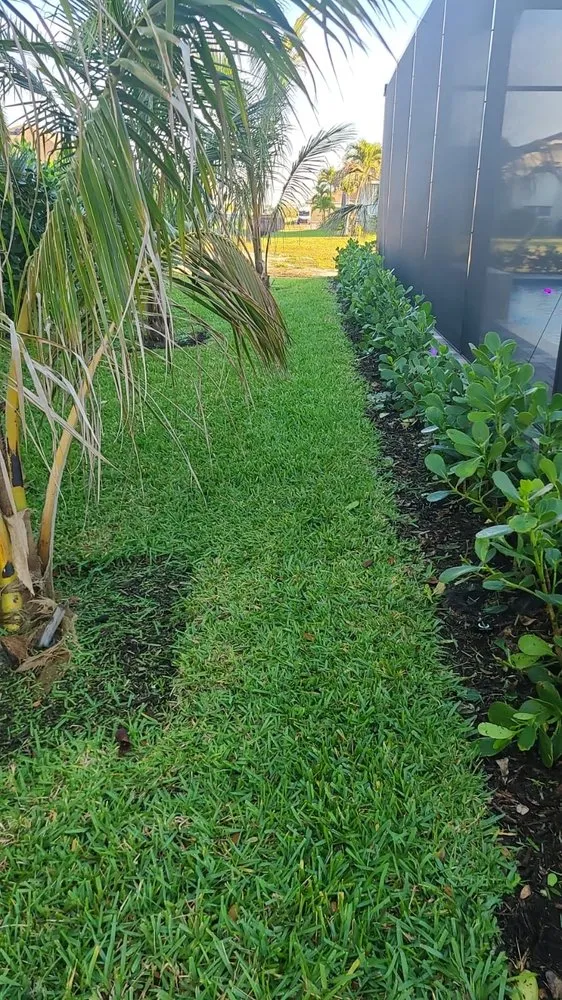 Trusted lawn care service for beautiful yards in Cape Coral, FL by Landscaping Company
