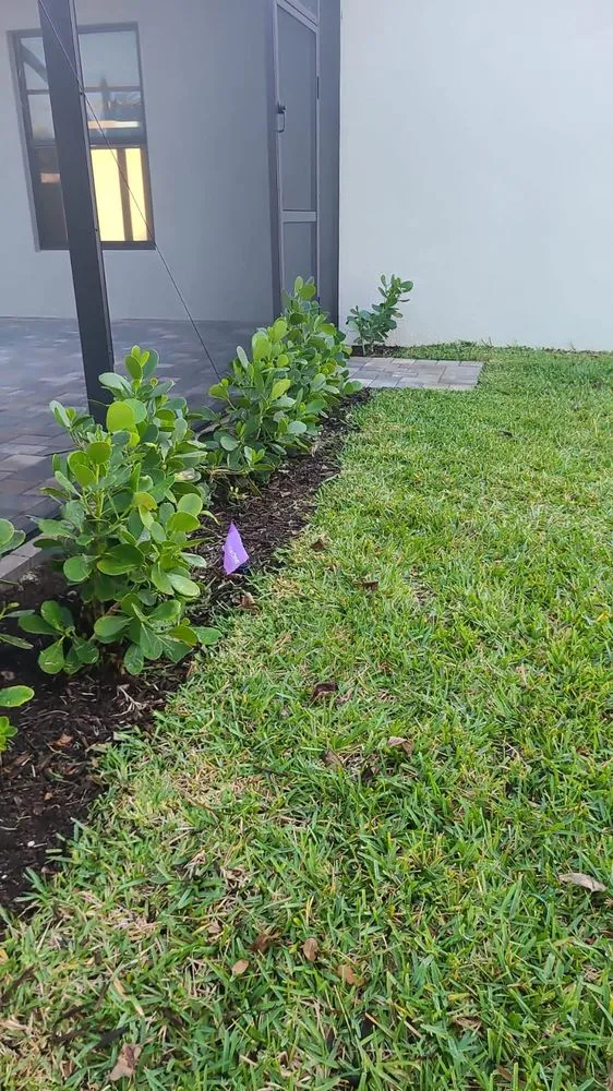 Professional yard cleanup service for year-round maintenance across Cape Coral, FL - Landscaping Company