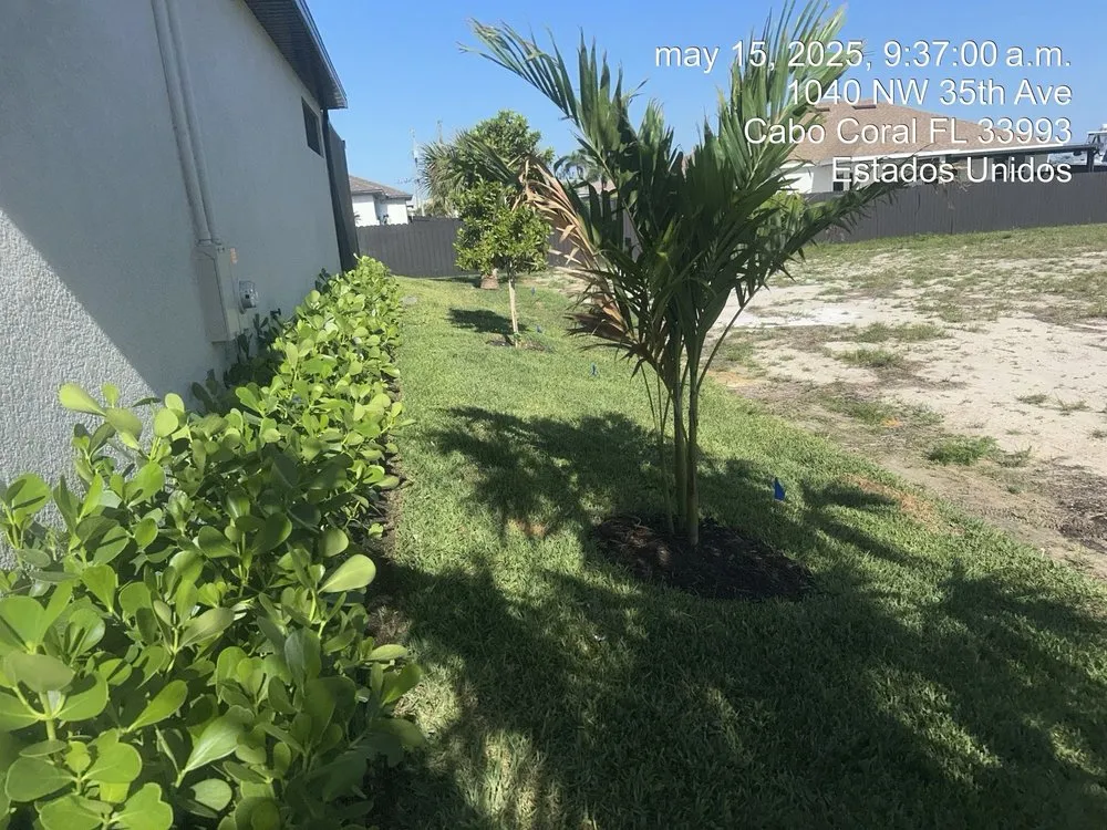 Custom lawn mowing service in Cape Coral, FL by Landscaping Company