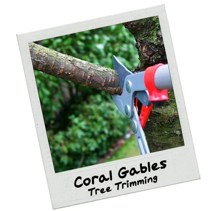 Reliable lawn mowing service with custom design across Coral Gables, FL - Landscaping Coral Gables